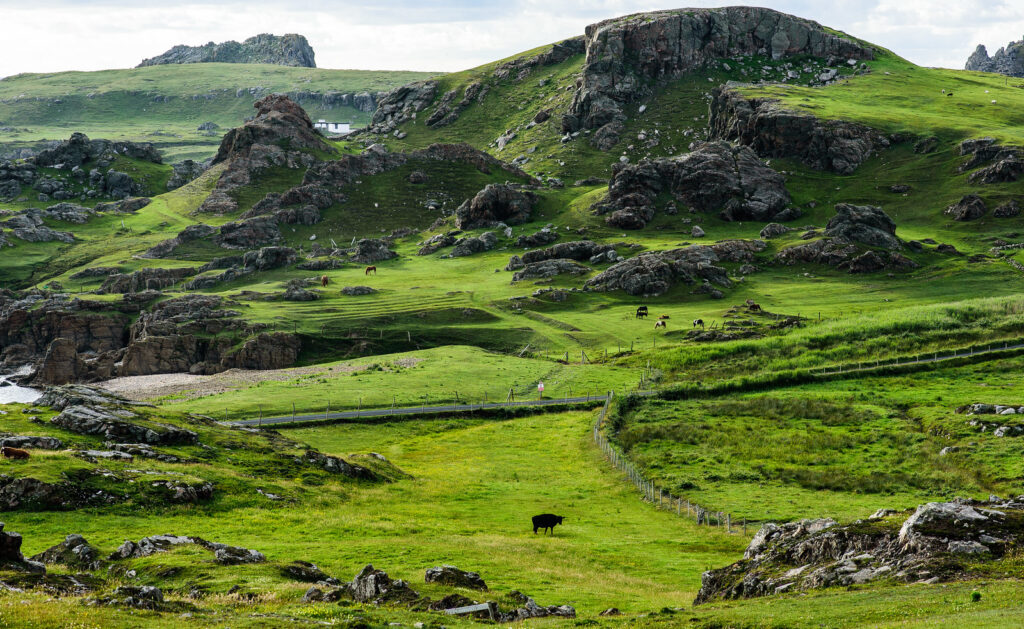 Unveiling Ireland’s Wild Beauty: A Journey Through the Emerald Isle